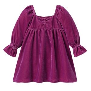 Janie and Jack Velvet Sweetheart Dress